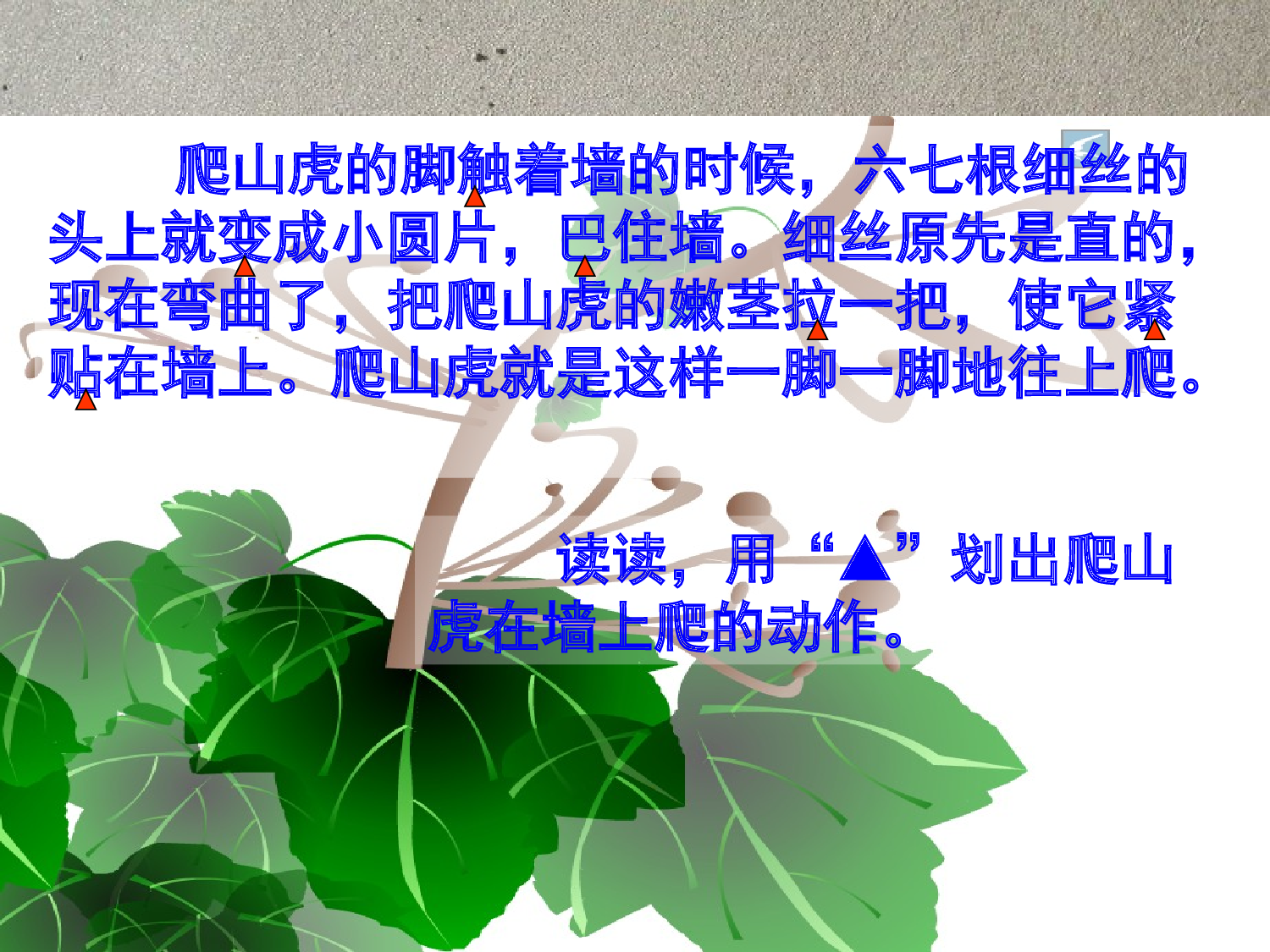 【课件】爬山虎的脚.ppt 第8页