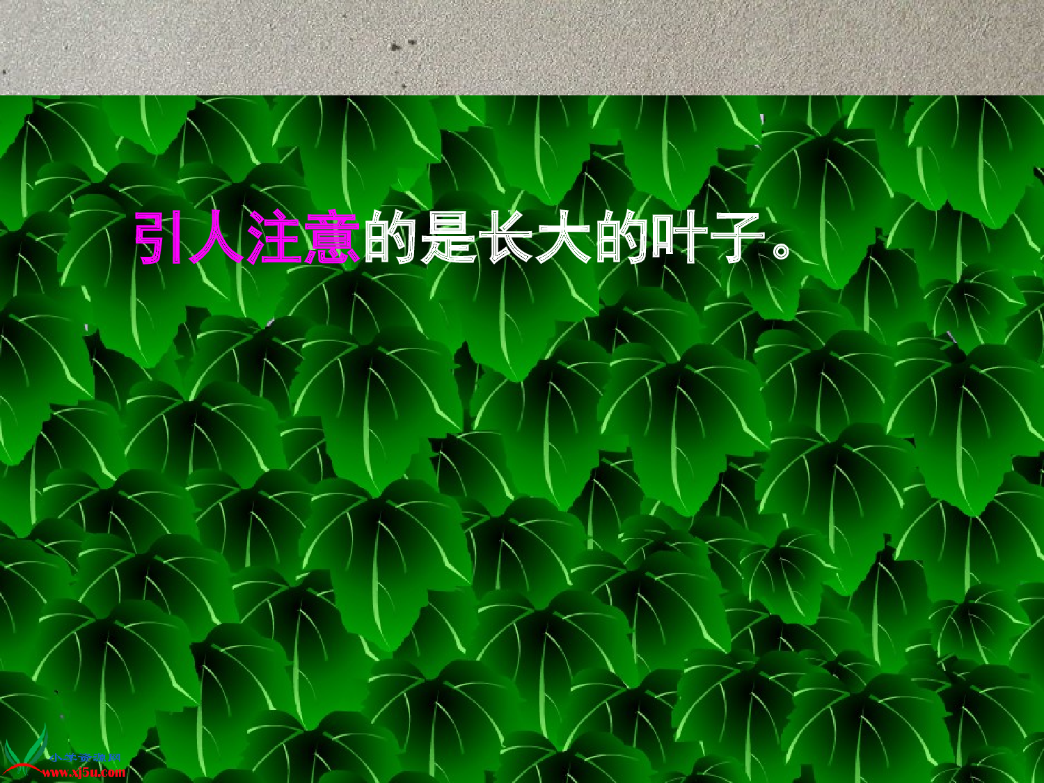 【课件】爬山虎的脚.ppt 第10页