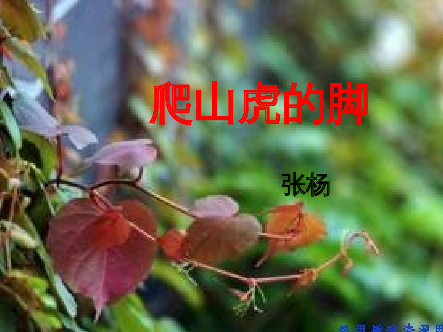 【课件】教学课件.ppt 第1页