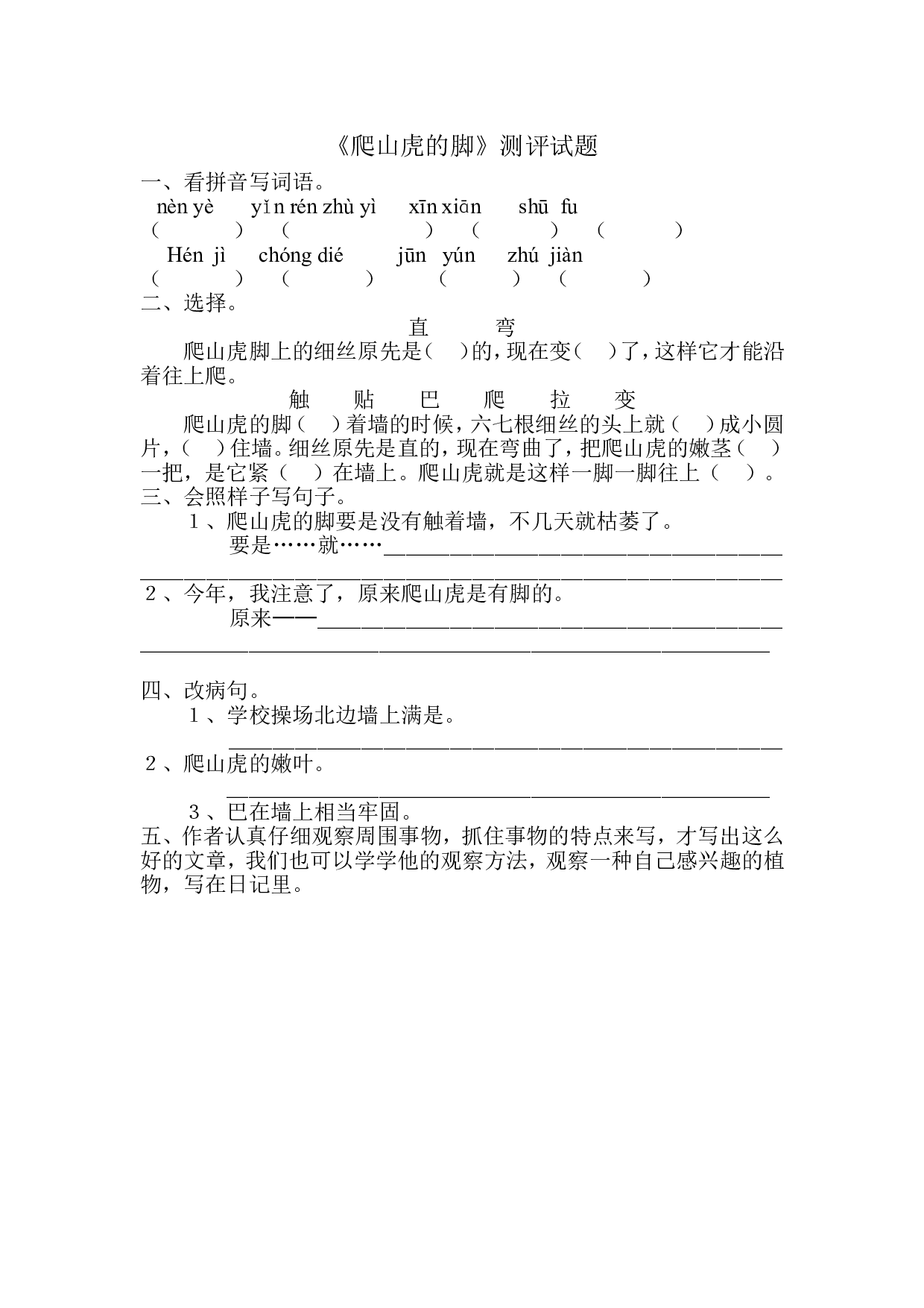 【作业】爬山虎的脚.doc 第1页