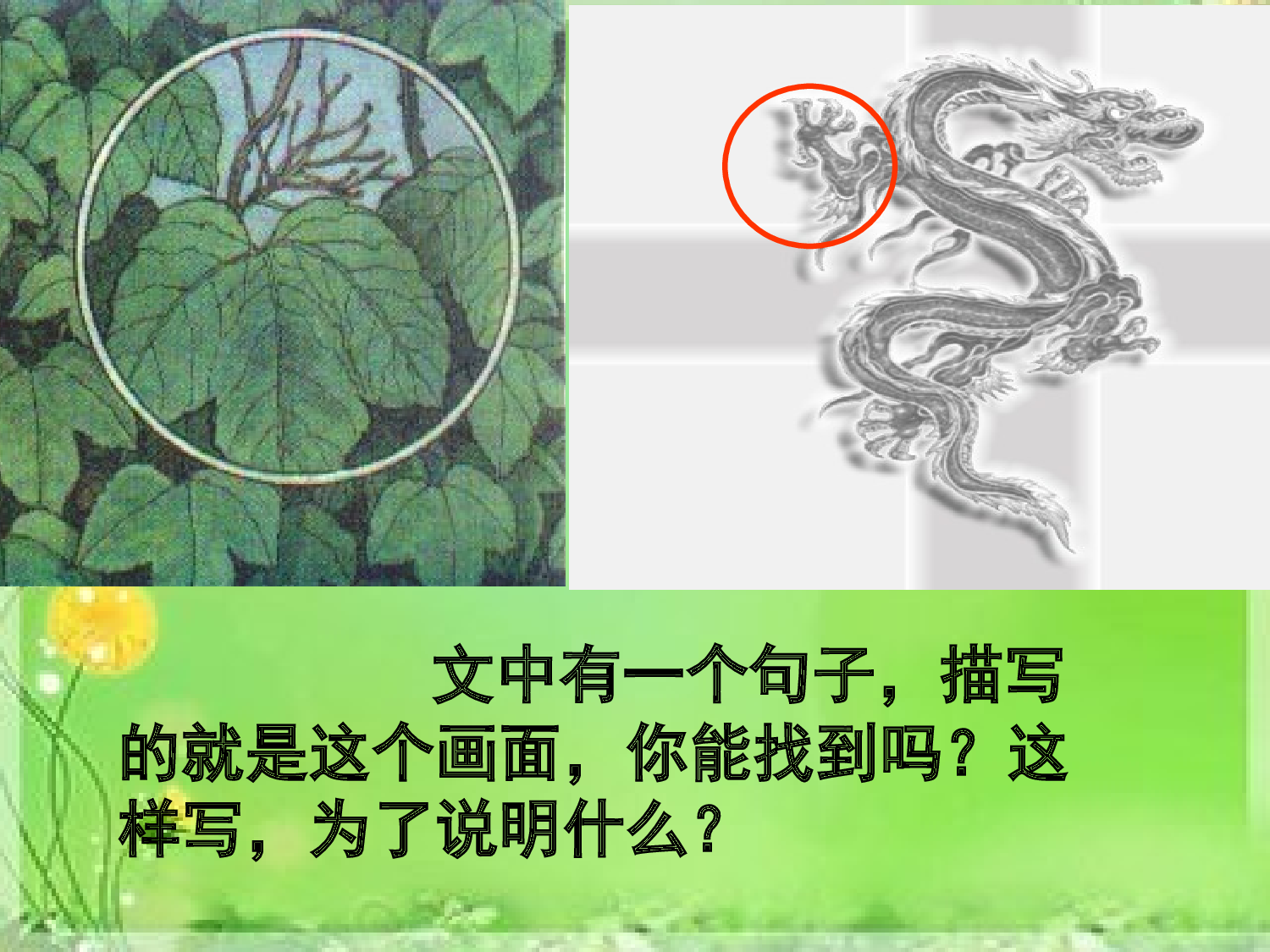 【课件】爬山虎的脚.ppt 第8页