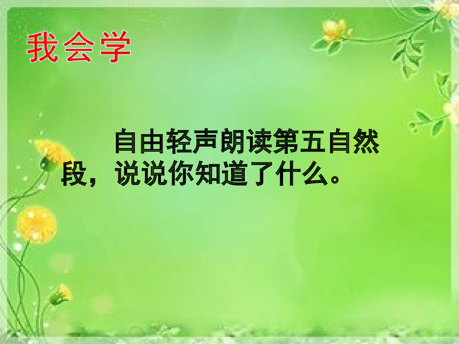 【课件】爬山虎的脚.ppt 第10页