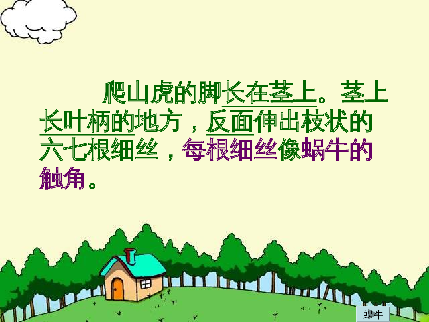 【课件】爬山虎的脚  第二课时.ppt 第10页