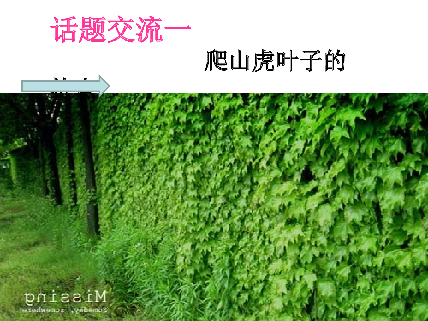 【课件】爬山虎的脚.ppt 第10页