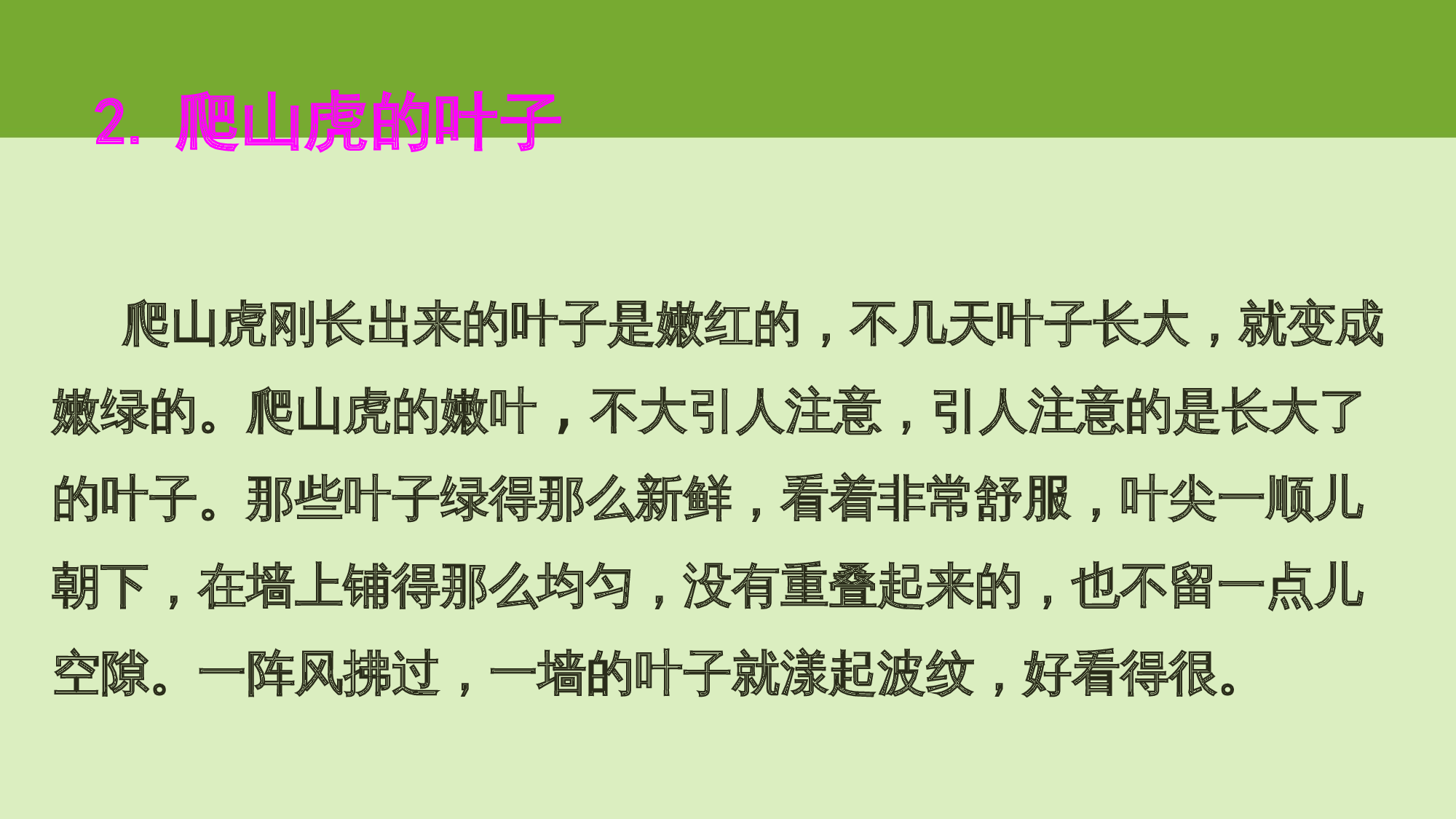 【课件】爬山虎的脚.pptx 第7页