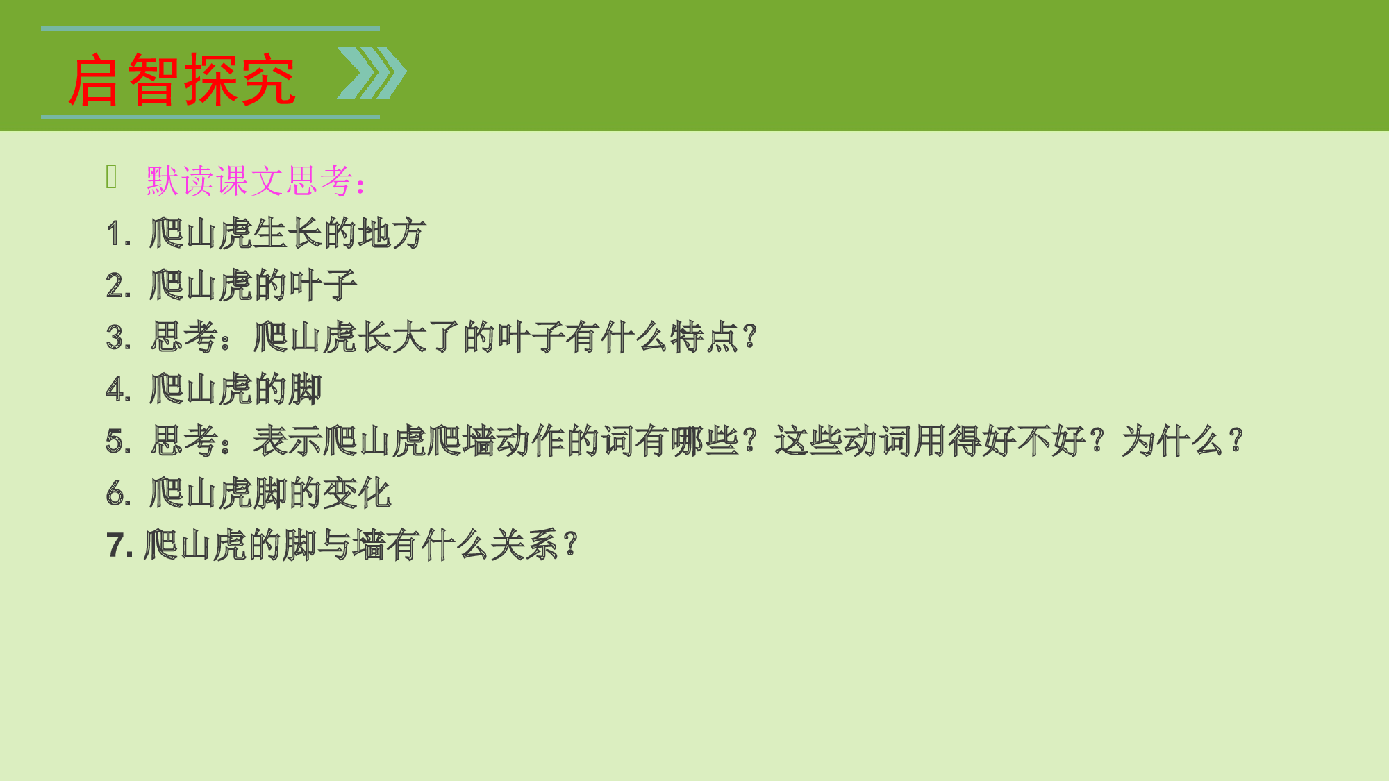 【课件】爬山虎的脚.pptx 第5页