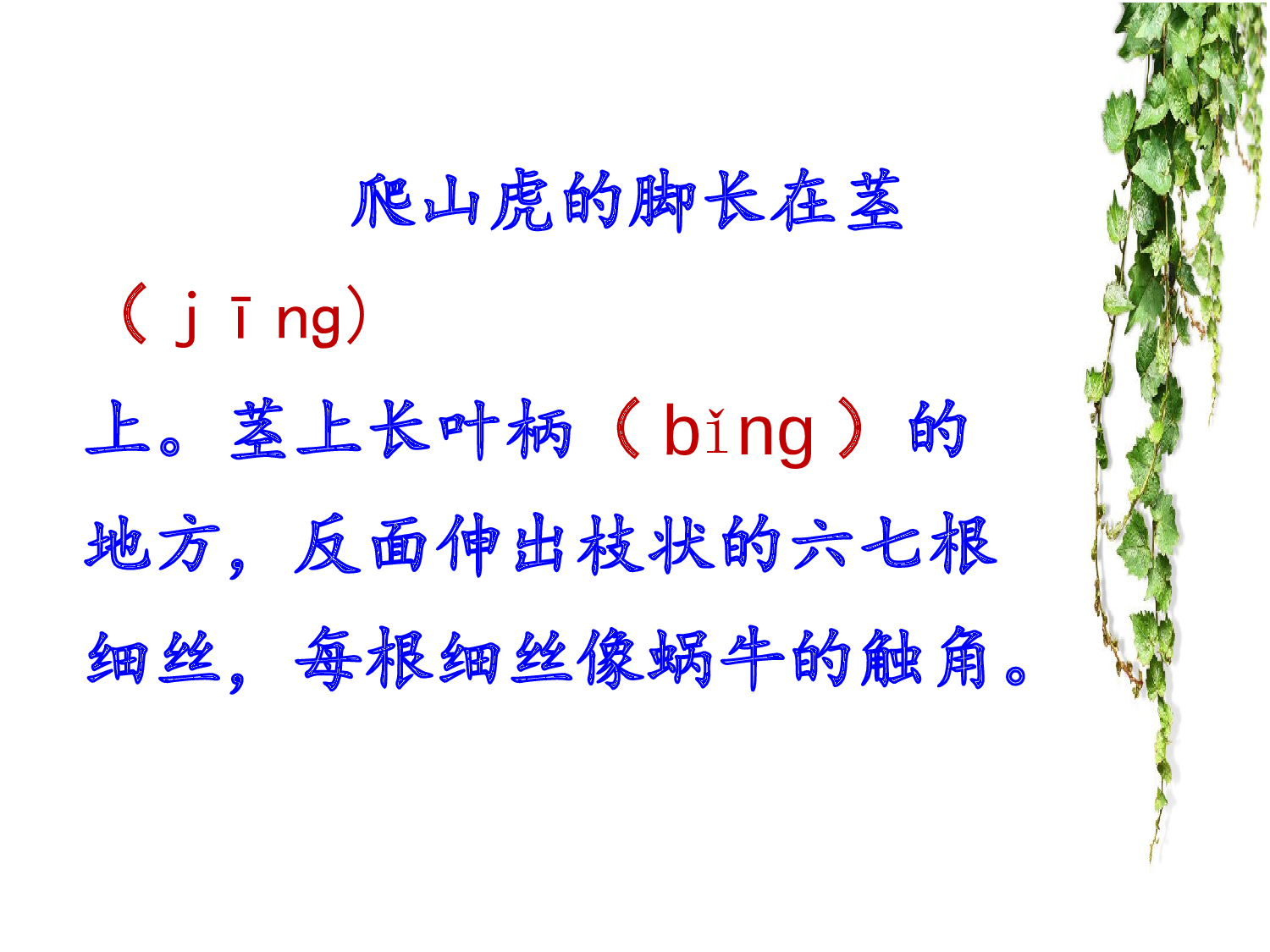 【课件】爬山虎的脚.ppt 第6页