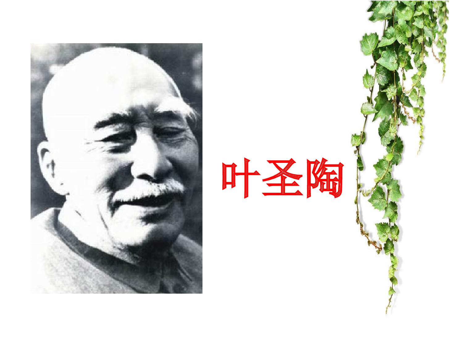 【课件】爬山虎的脚.ppt 第3页