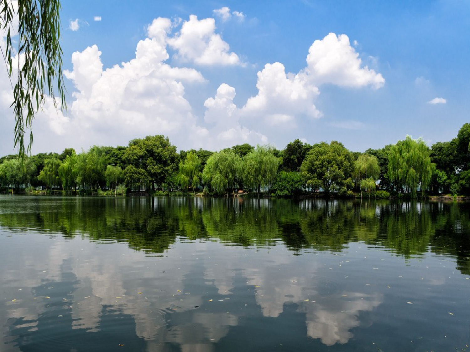 【课件】《题西林壁》PPT.ppt 第3页