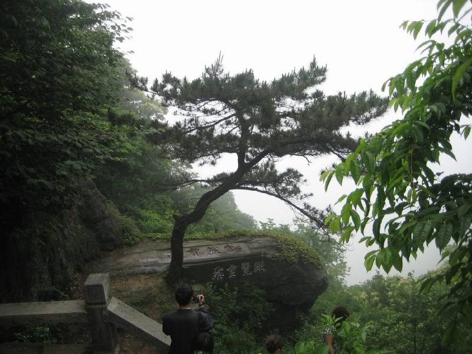 【课件】题西林壁.ppt 第5页