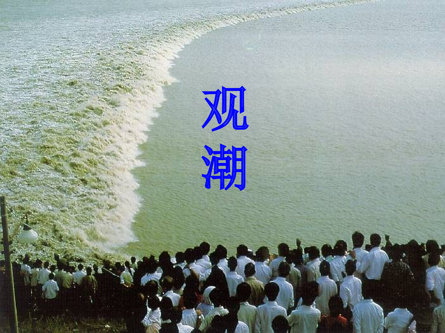 观潮.ppt 第1页