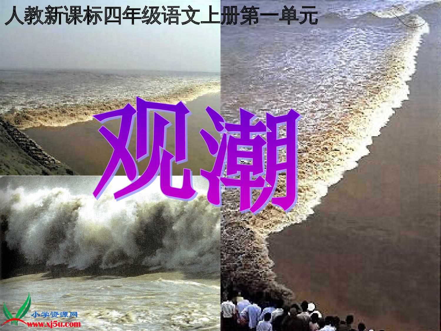 观潮教学课件.ppt 第1页