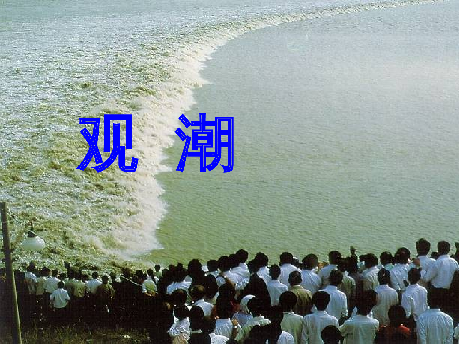 【课件】观潮于璟玢.ppt 第2页