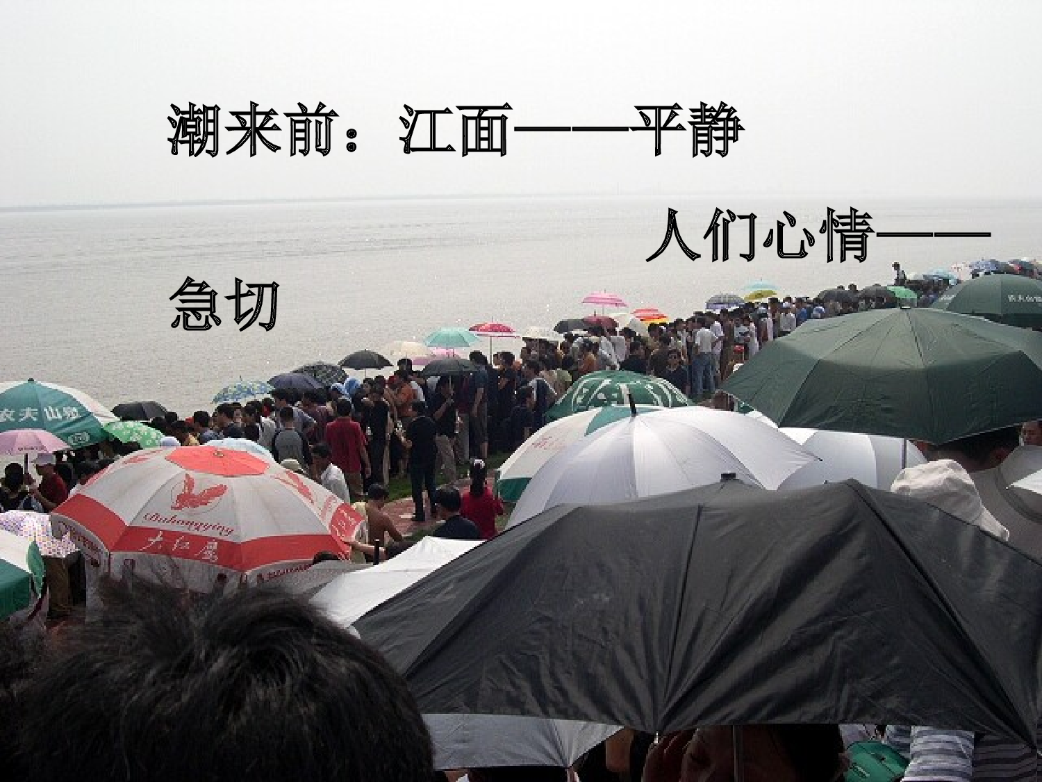 【课件】观潮第2学时.ppt 第2页