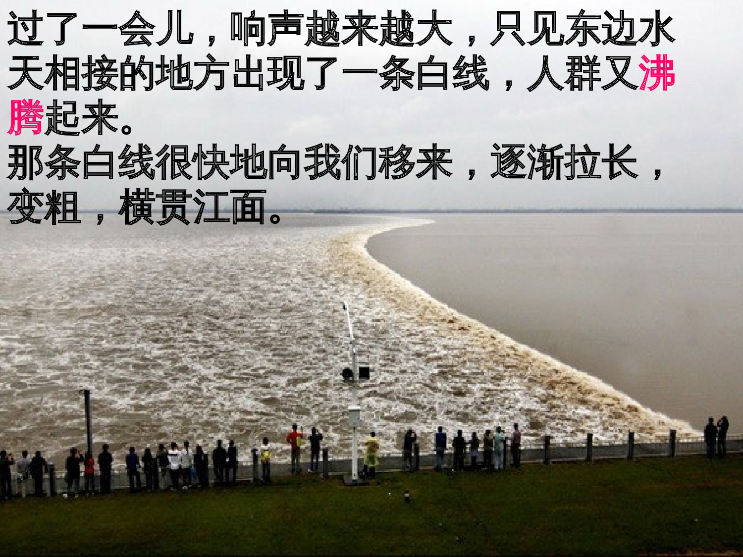 【课件】观潮第2学时.ppt 第5页