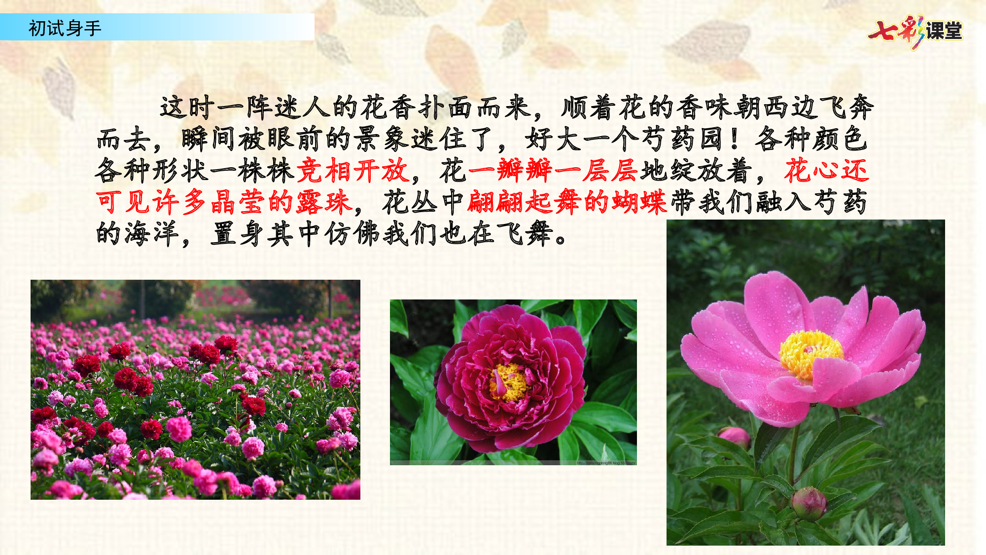 交流平台与初试身手 习作例文 习作【名师版】.ppt 第9页