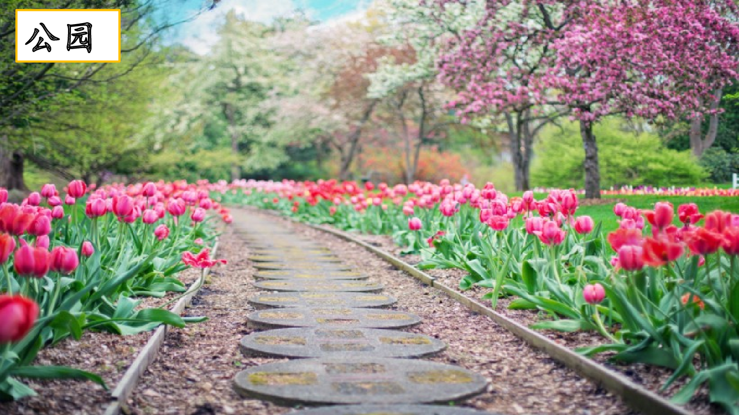 习作：游________【优质版】.pptx 第7页