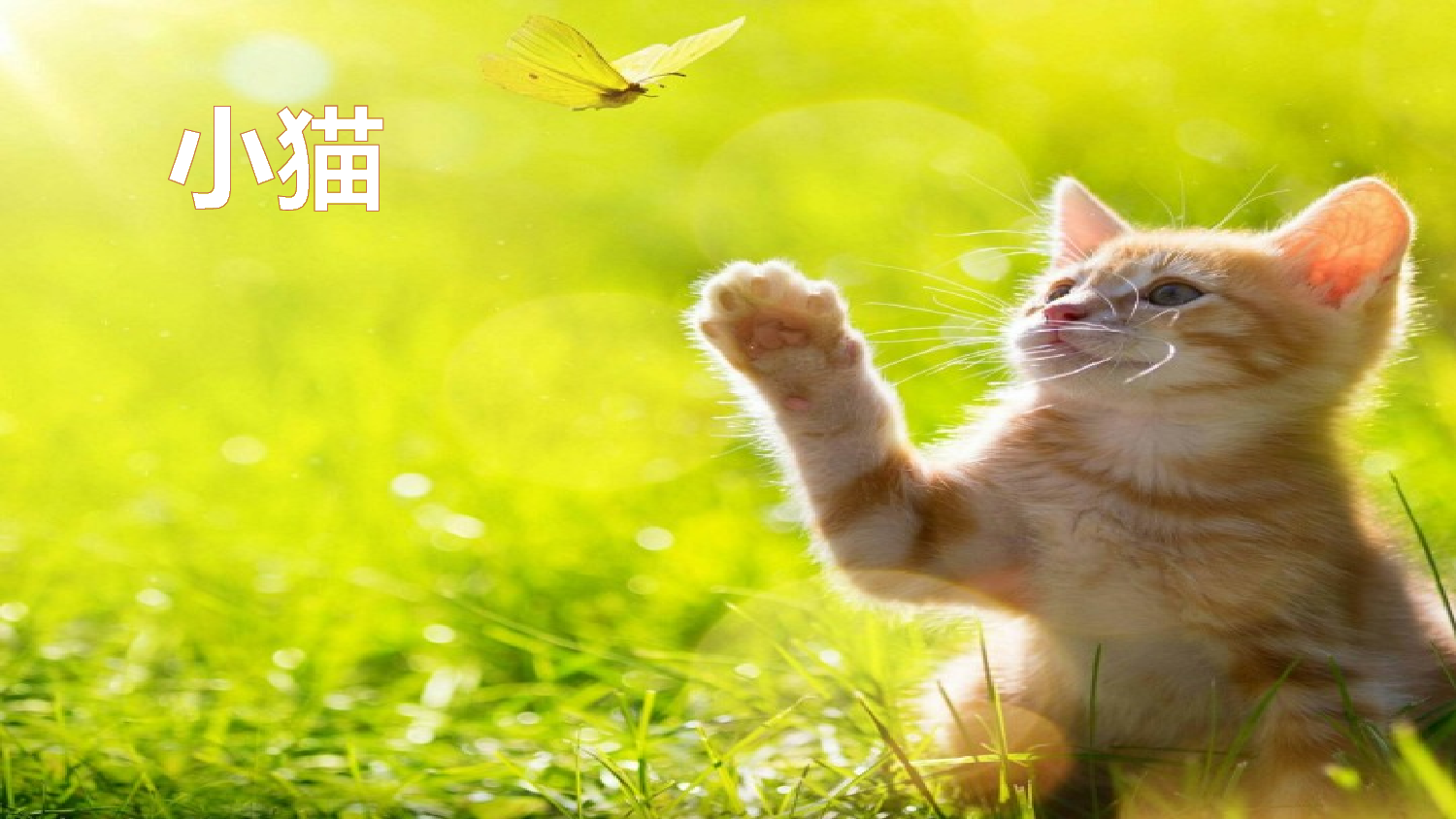 习作：我的动物朋友【优质版】.pptx 第4页