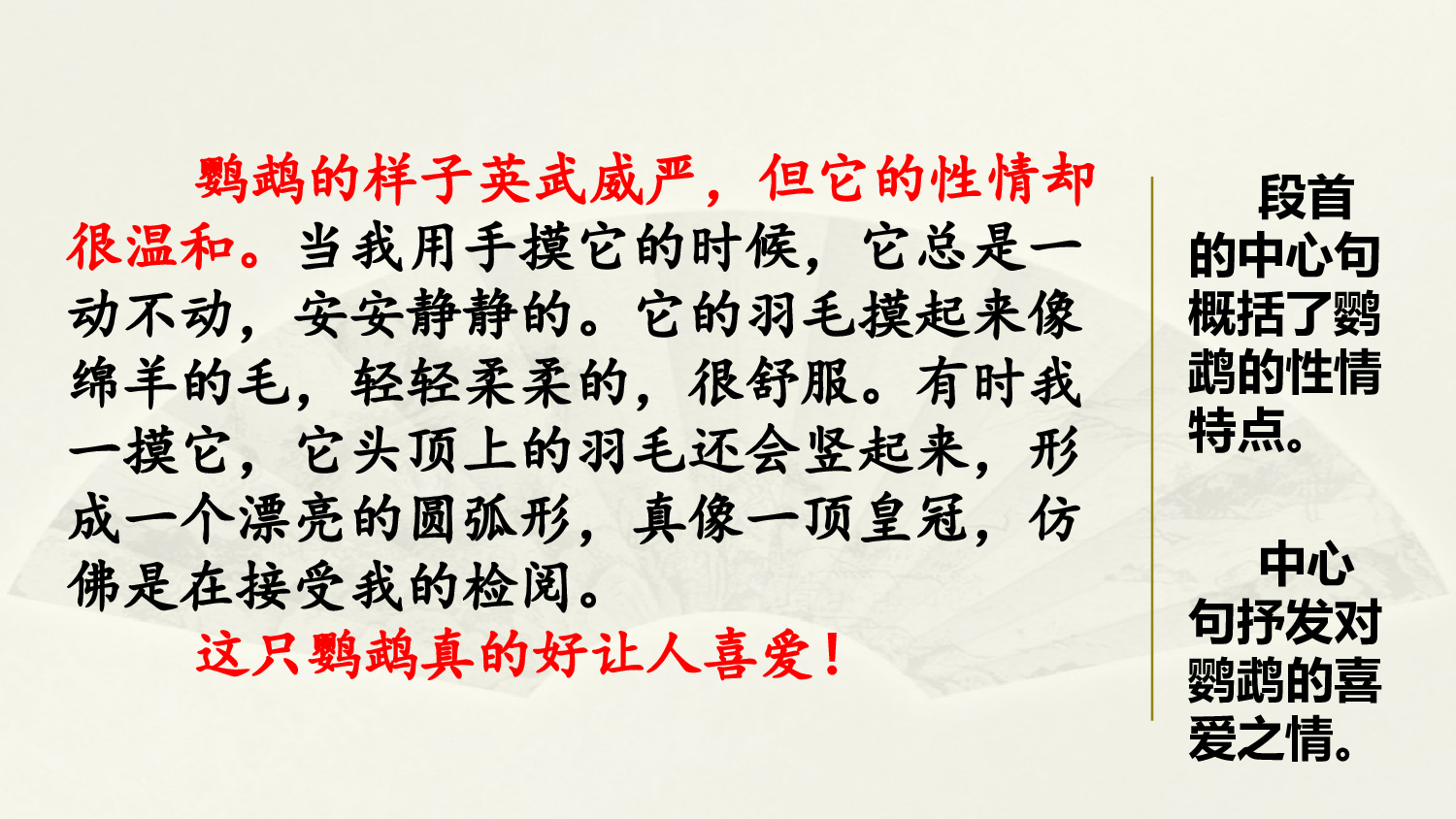 范文1：我的动物朋友&mdash;&mdash;小鹦鹉.pptx 第3页