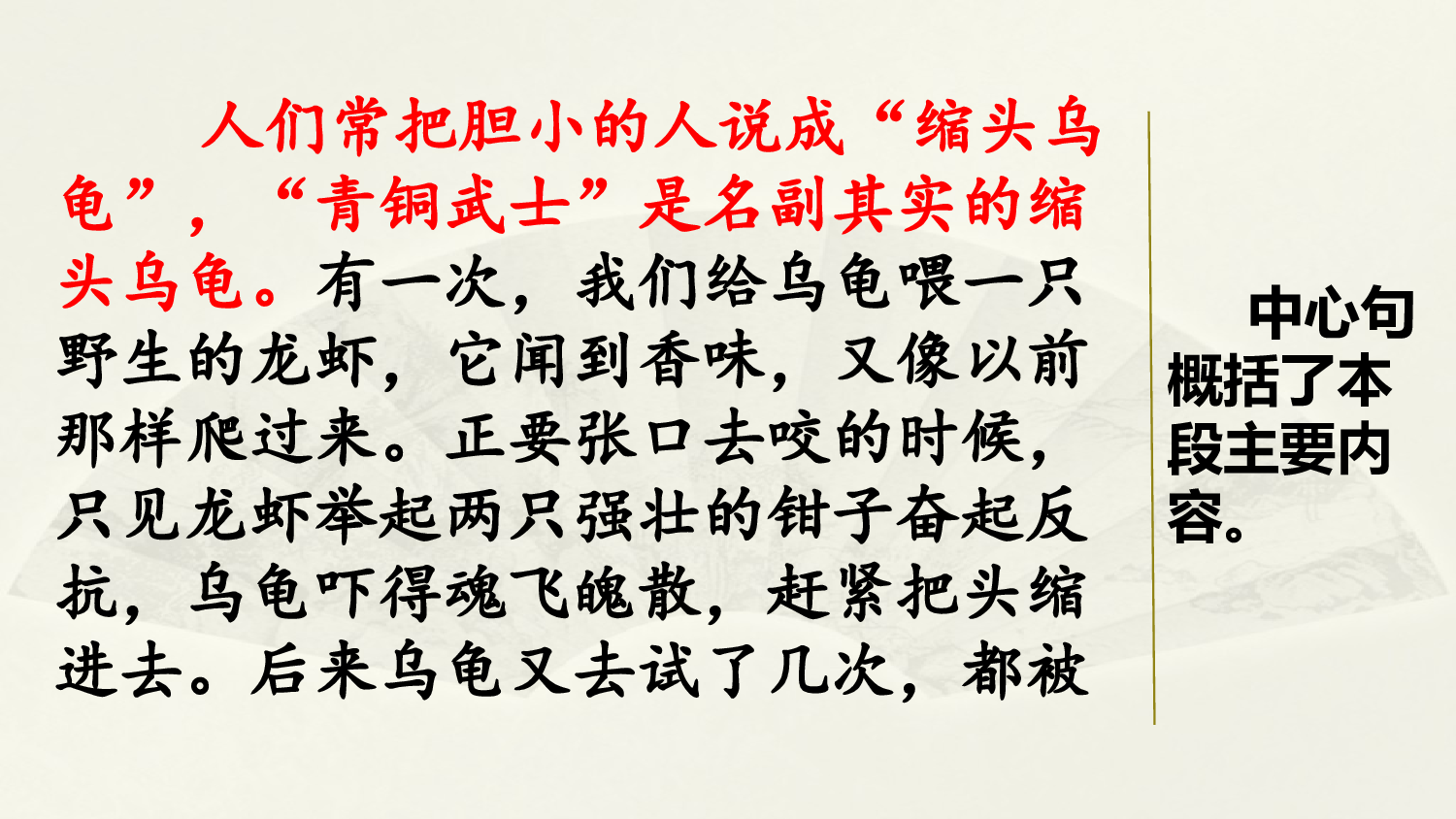 范文2：我的动物朋友&mdash;&mdash;小乌龟.pptx 第4页