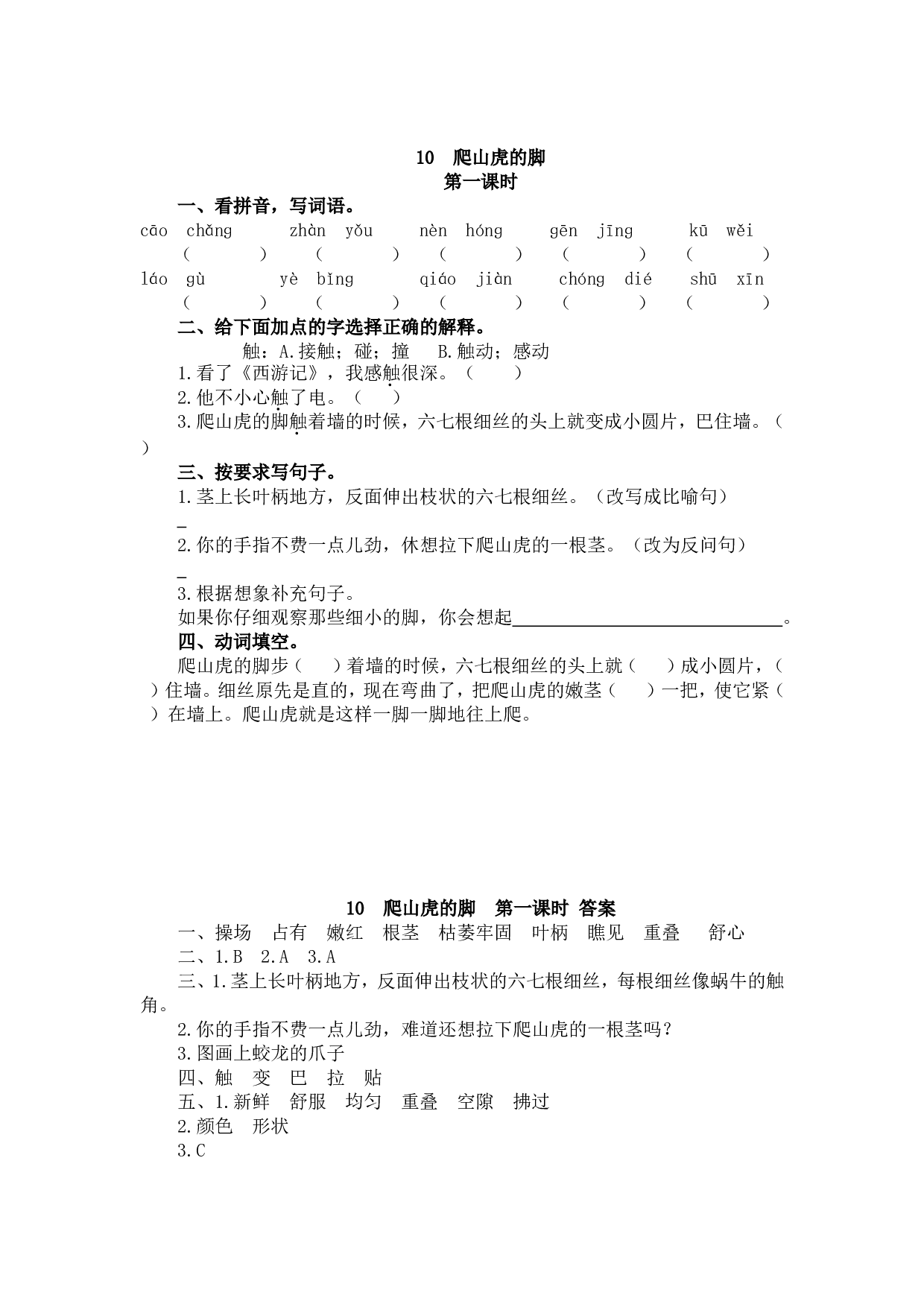 10 爬山虎的脚.doc 第1页