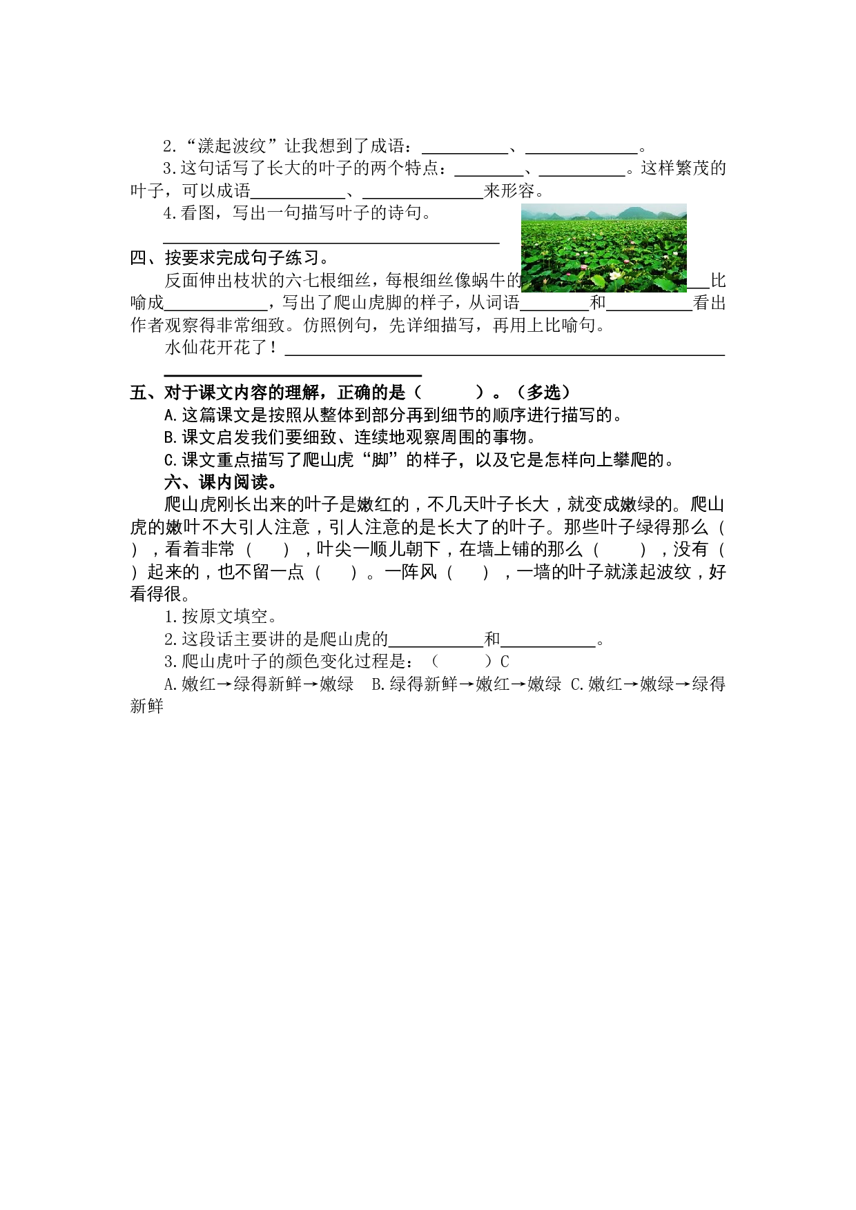 10 爬山虎的脚.doc 第3页