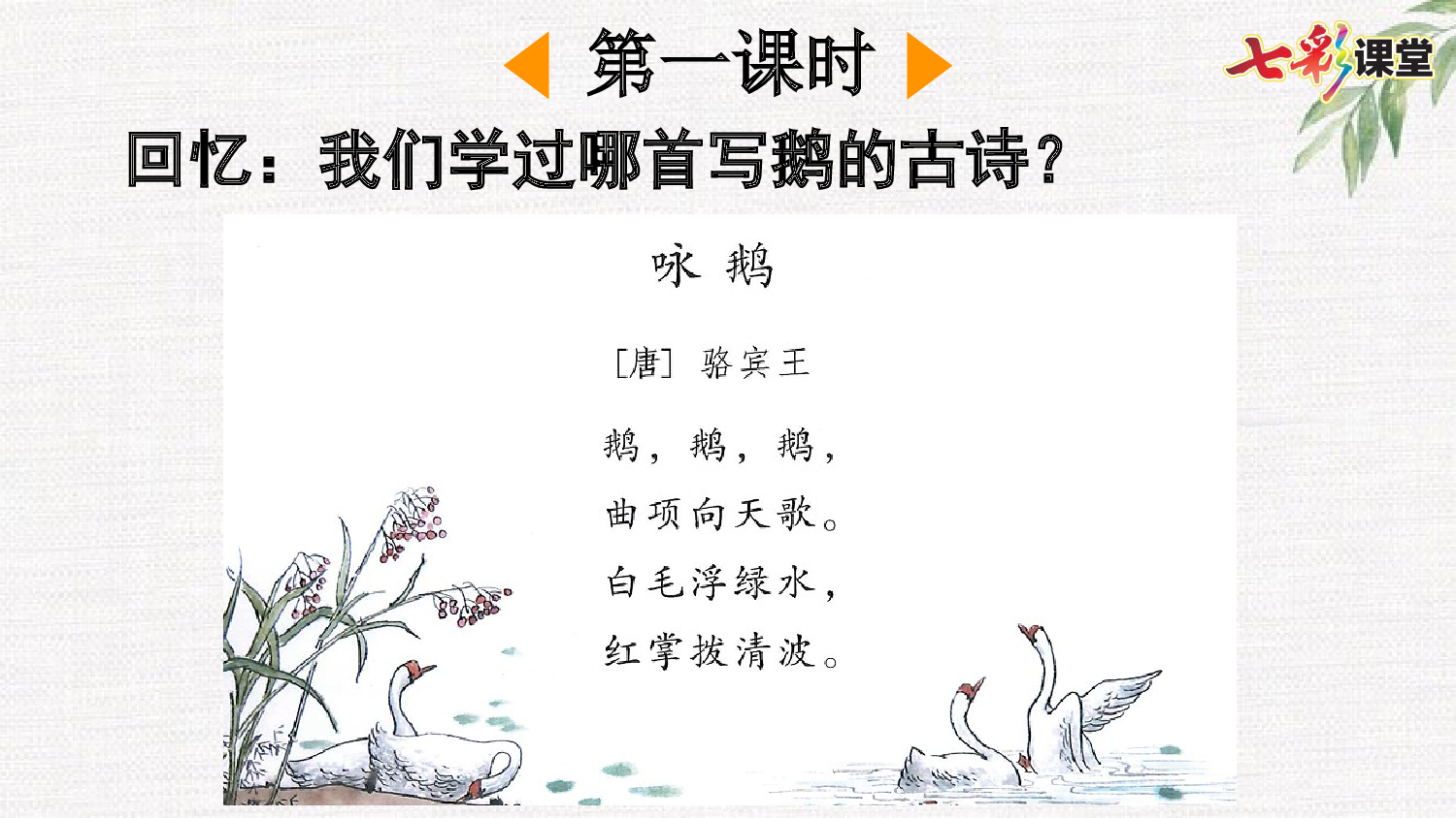 15 白鹅【精华版】.pptx 第3页