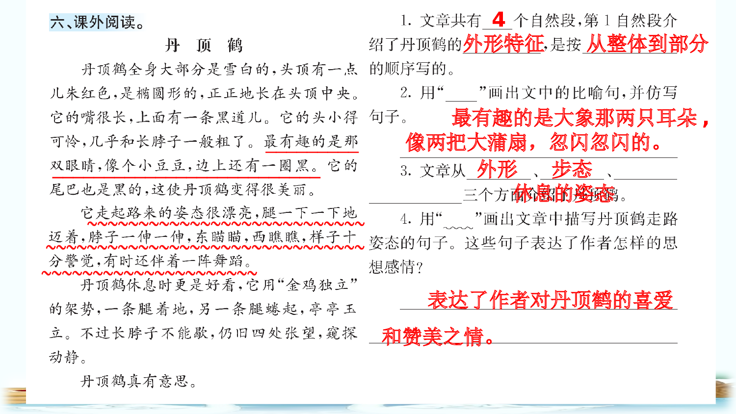 15 白鹅（课课练）.pptx 第7页