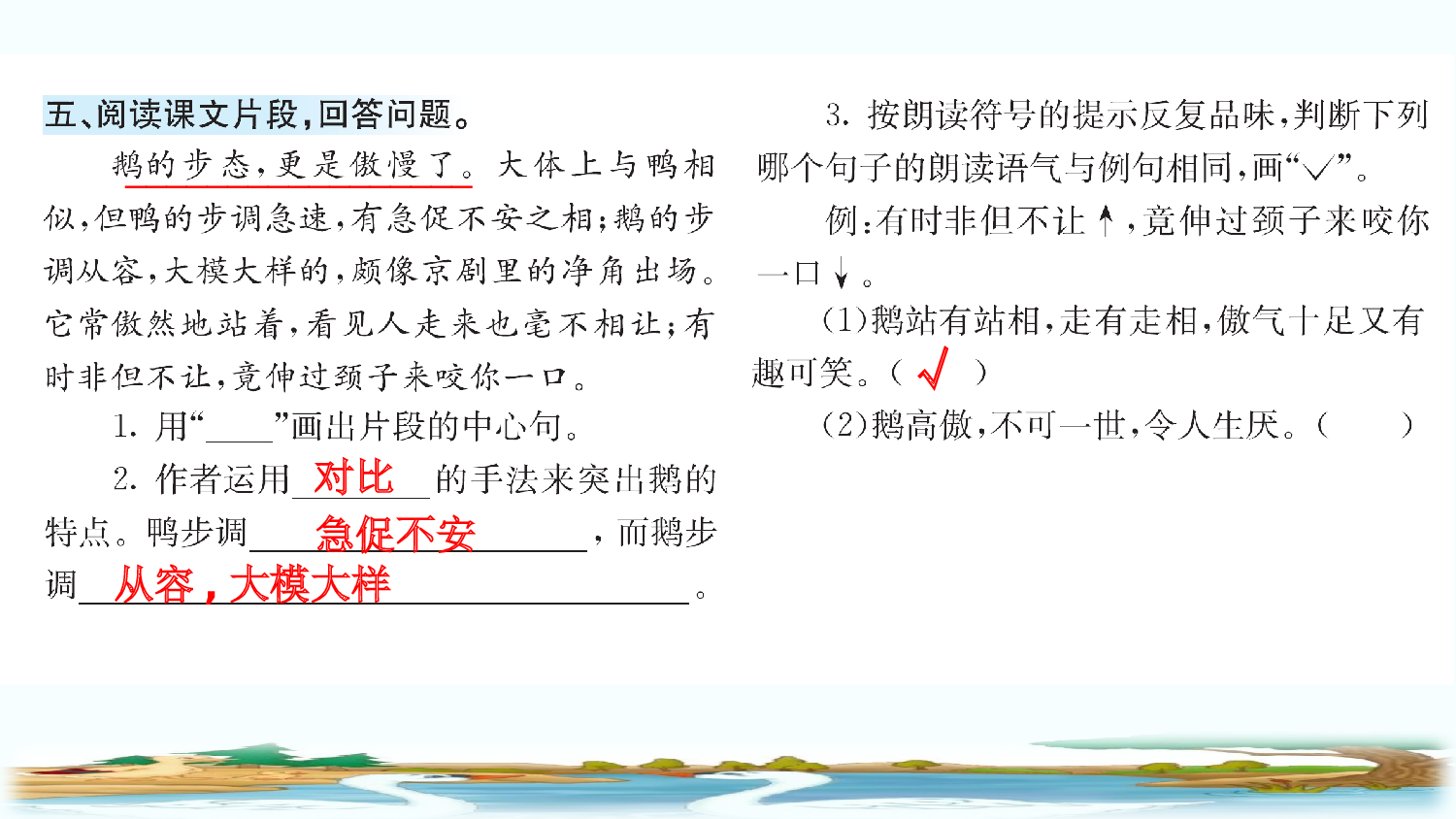 15 白鹅（课课练）.pptx 第6页