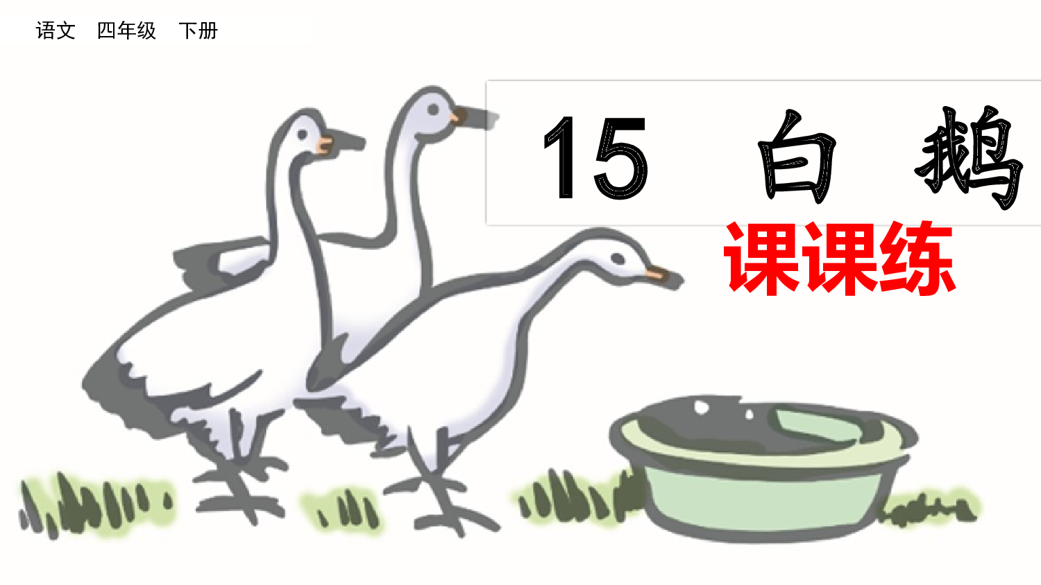 15 白鹅（课课练）.pptx 第1页