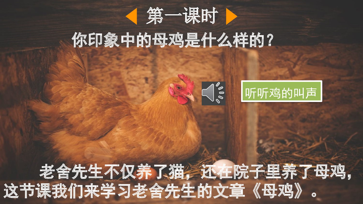 14 母鸡【优质版】.pptx 第3页