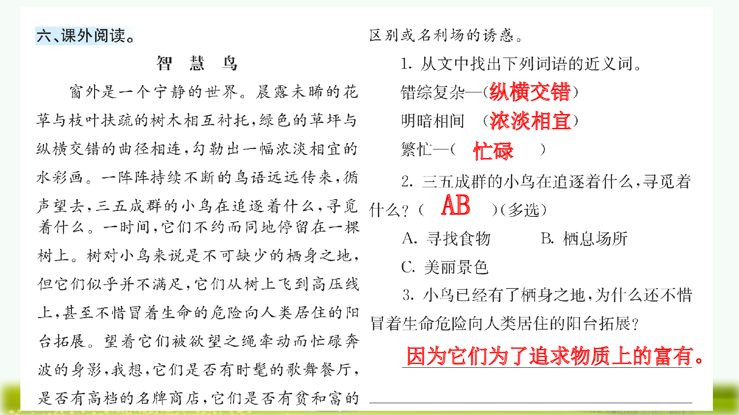 14 母鸡（课课练）.pptx 第7页