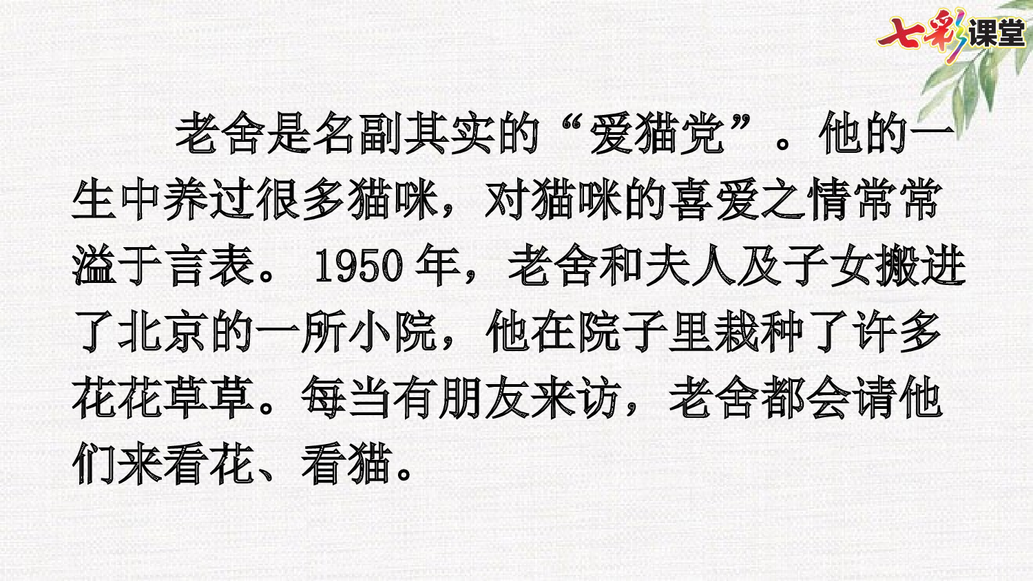 13 猫【优质版】.pptx 第5页