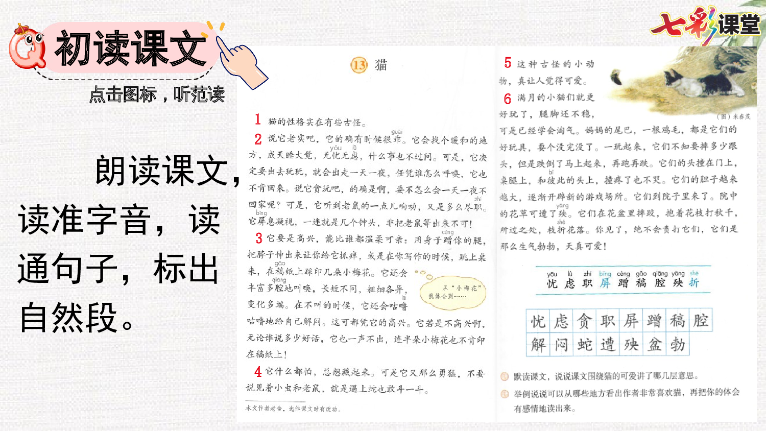 13 猫【精华版】.pptx 第5页