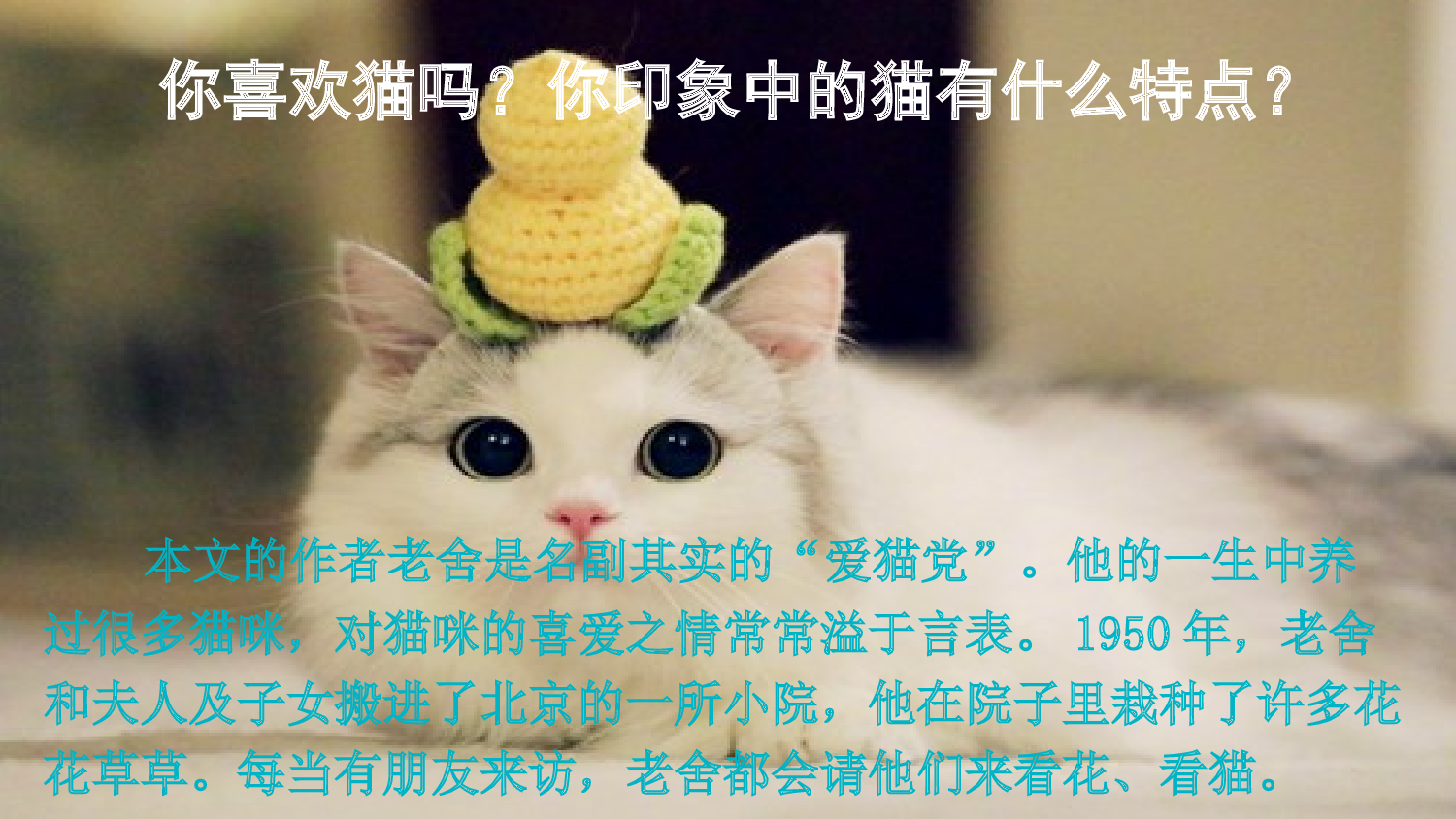 13 猫【精华版】.pptx 第3页