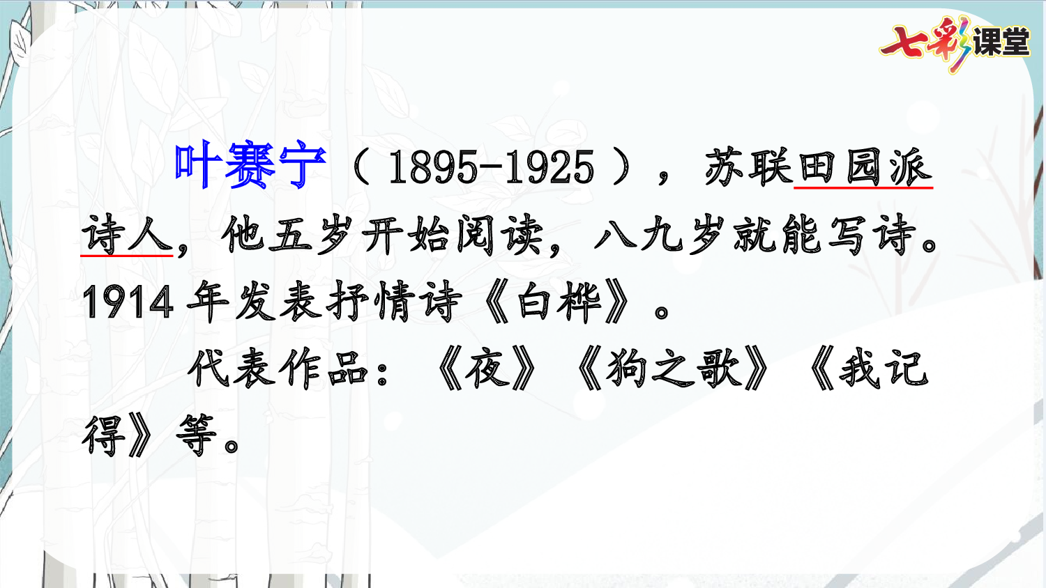 11 白桦【优质版】.pptx 第5页