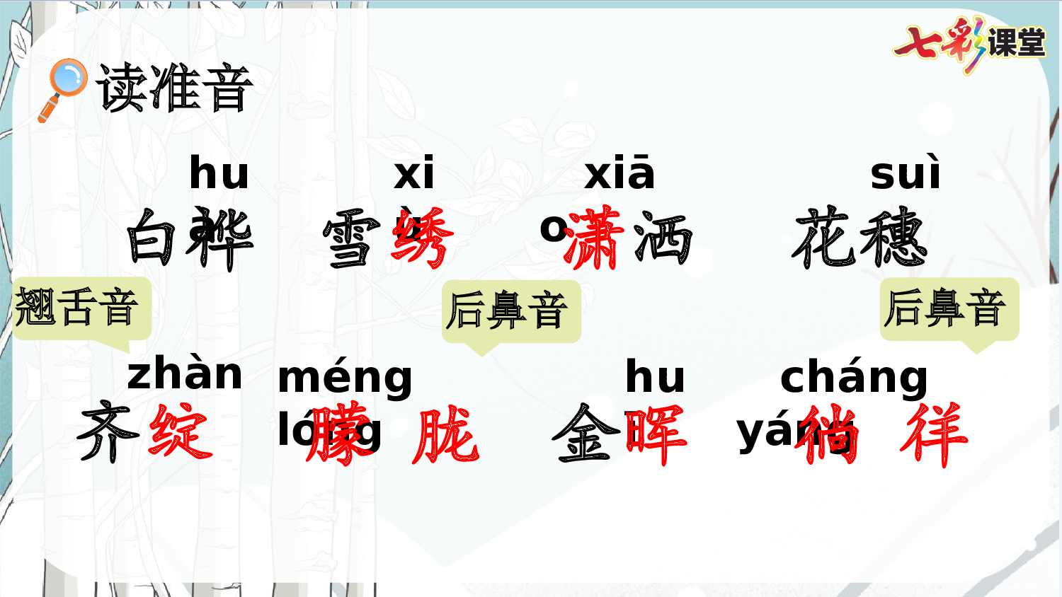11 白桦【优质版】.pptx 第7页