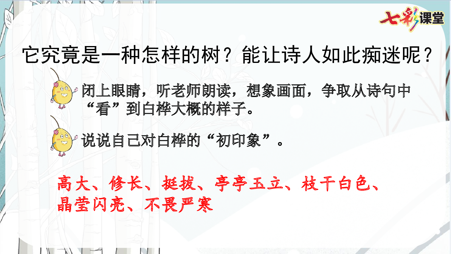 11 白桦【精华版】.pptx 第5页