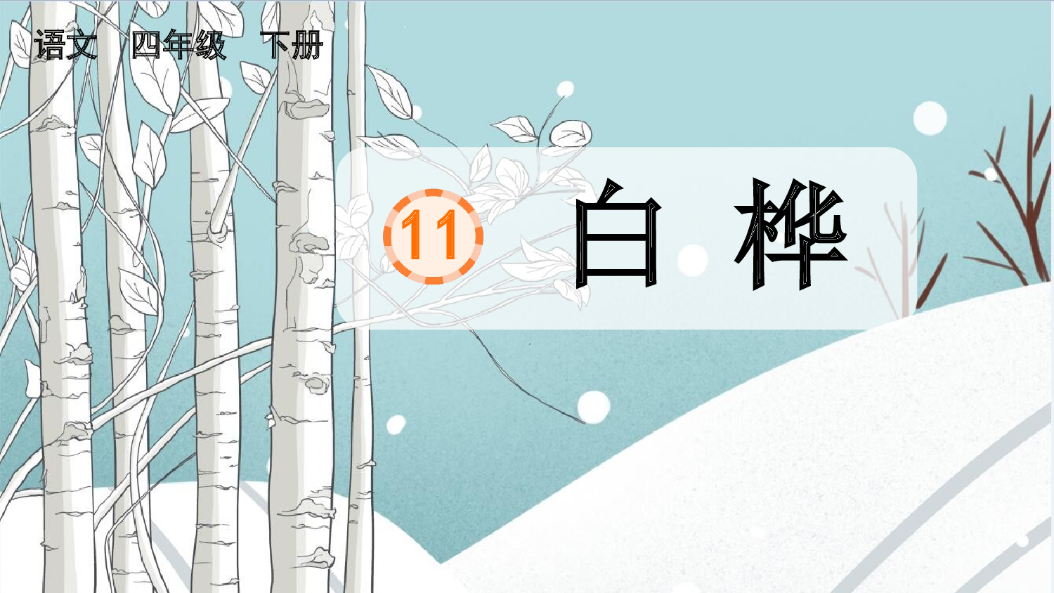 11 白桦【精华版】.pptx 第2页
