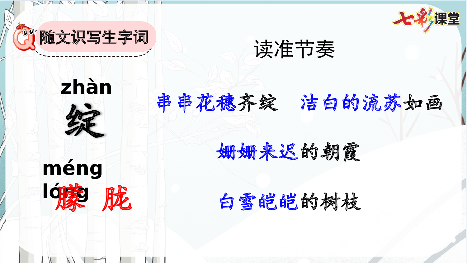 11 白桦【精华版】.pptx 第8页