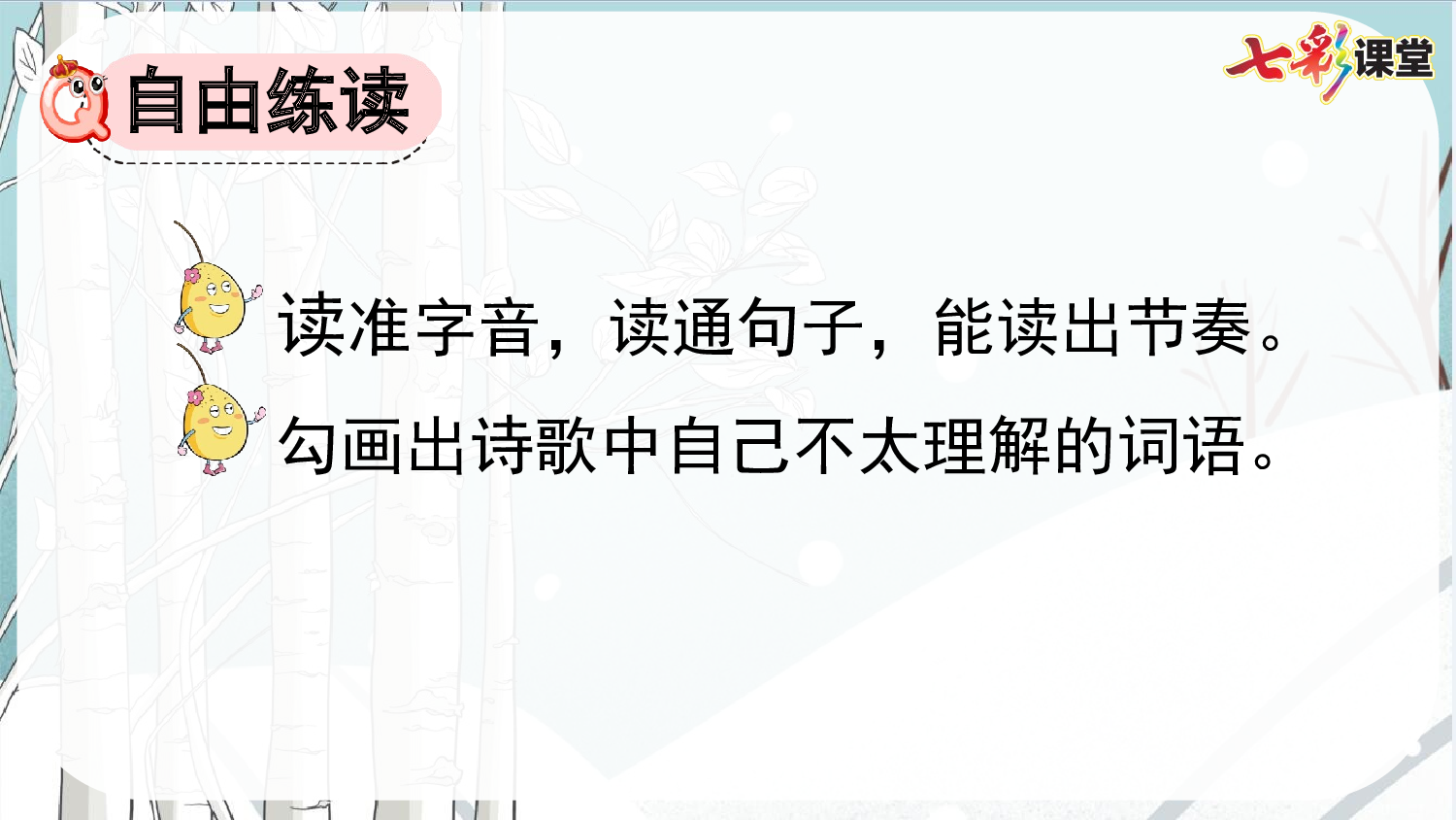 11 白桦【精华版】.pptx 第6页