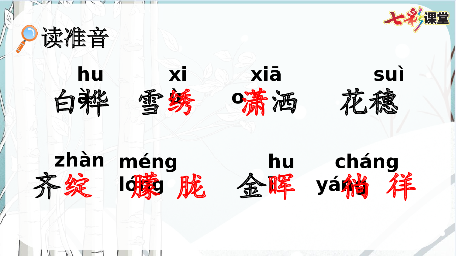 11 白桦【精华版】.pptx 第7页