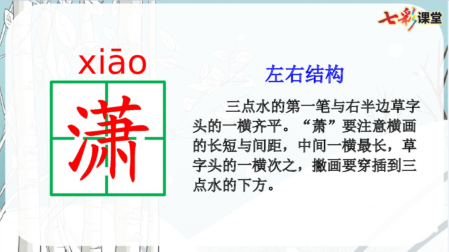 11 白桦【精华版】.pptx 第9页