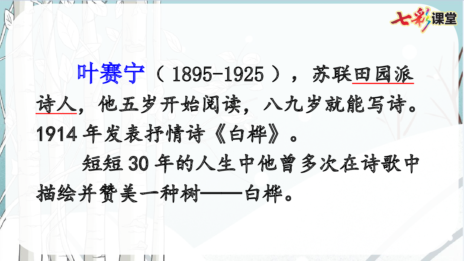 11 白桦【精华版】.pptx 第4页