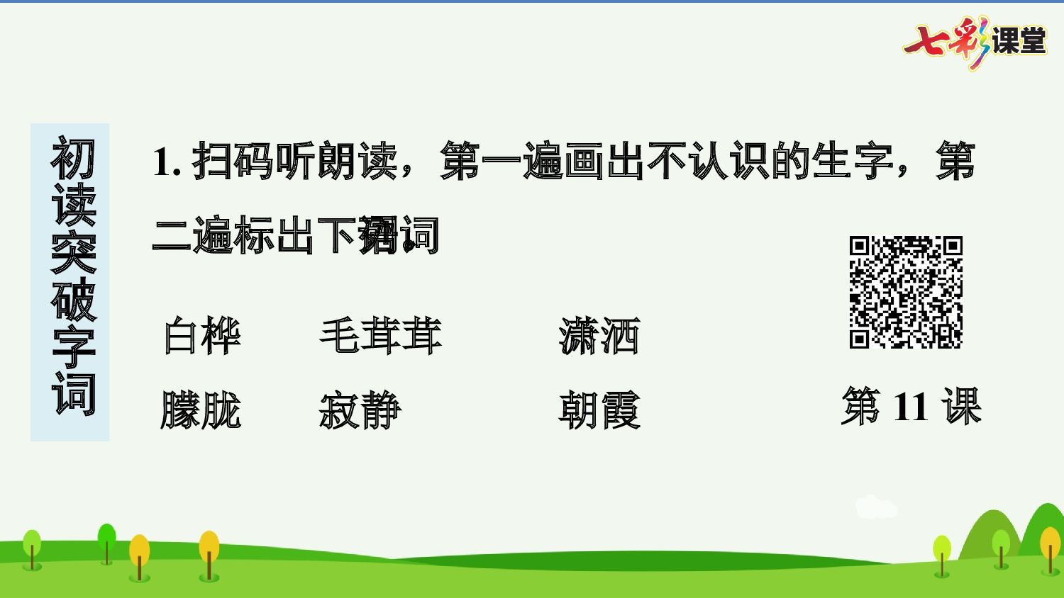 11 白桦 预习卡.pptx 第3页