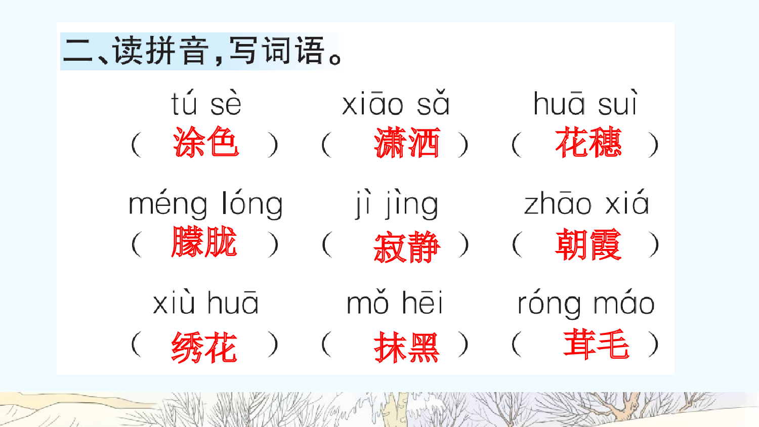 11 白桦（课课练）.pptx 第3页