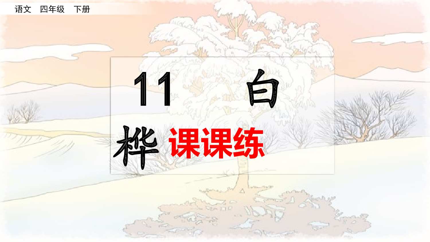 11 白桦（课课练）.pptx 第1页