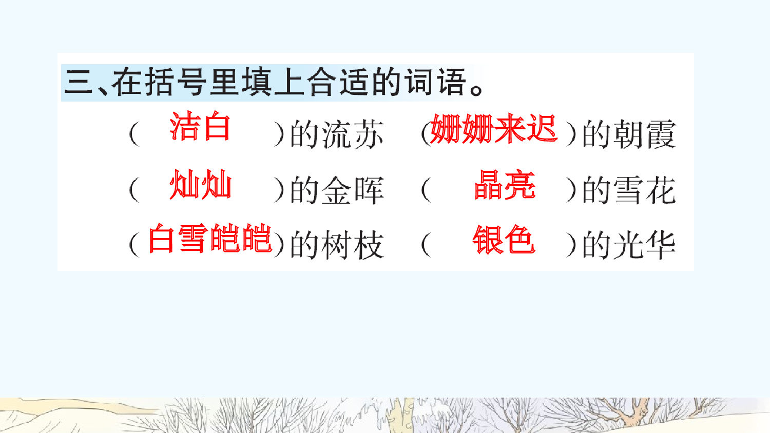 11 白桦（课课练）.pptx 第4页