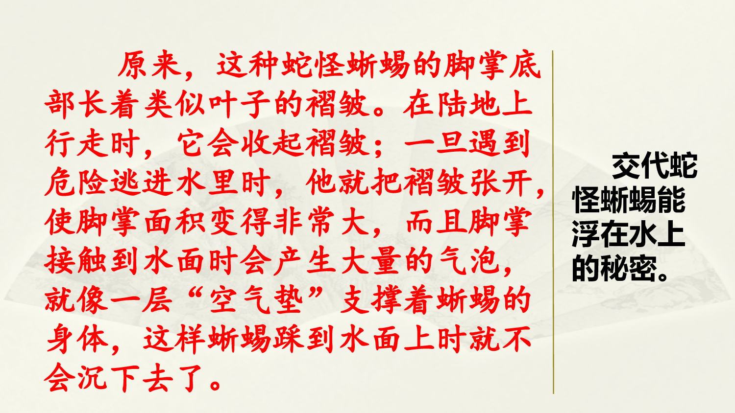 范文1：水上行走鞋.pptx 第2页