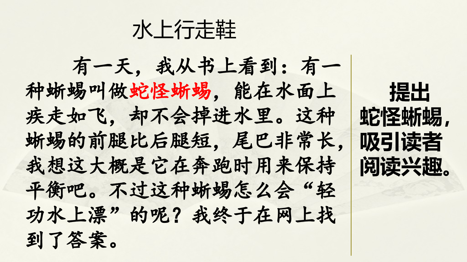 范文1：水上行走鞋.pptx 第1页